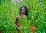African herbman
